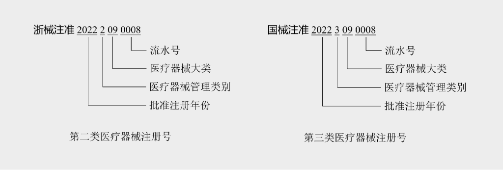 注册信息如何解读详细图