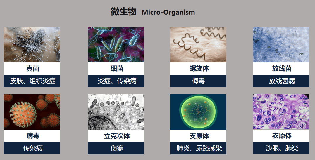 无菌医疗器为何要在洁净车间里生产