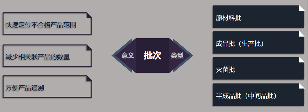批次的意义和类型